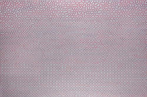 Claus Prokop, WF31_02_1302CP_1, 2024, Lackspray, Hammerschlaglack auf Aluminium, 130 x 195 cm