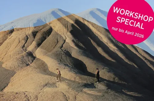 Workshops_FlaviaBigiVariabiliMetrie_12019-22FineArtPrint60x90cmMuseumAngerlehner__msi___jpg