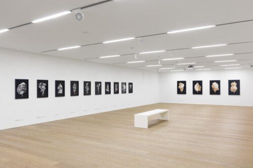 Ausstellungsansicht "Momentum - Über die Kunst, die Zeit anzuhalten"