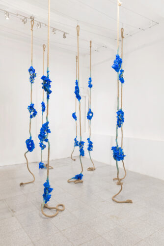 Francesca Romana Pinzari, Cordis, 2018, Kupfersulfatkristallisationen auf Seilen